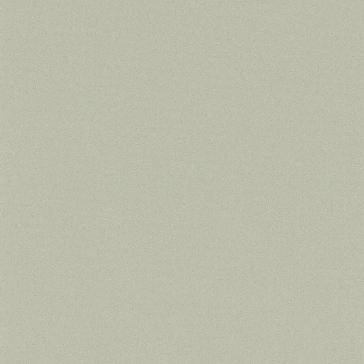 EOS COLOR 3 coquille