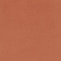 EOS COLOR 3 rouille 5