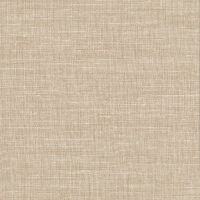 LINO beige 2