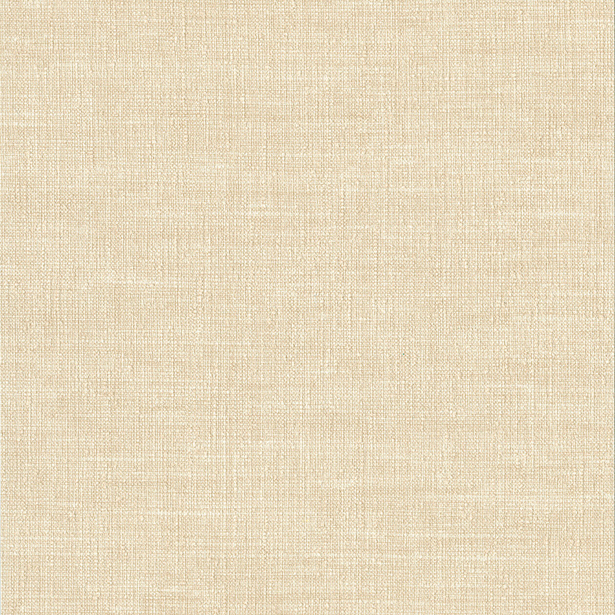 LINO beige 1