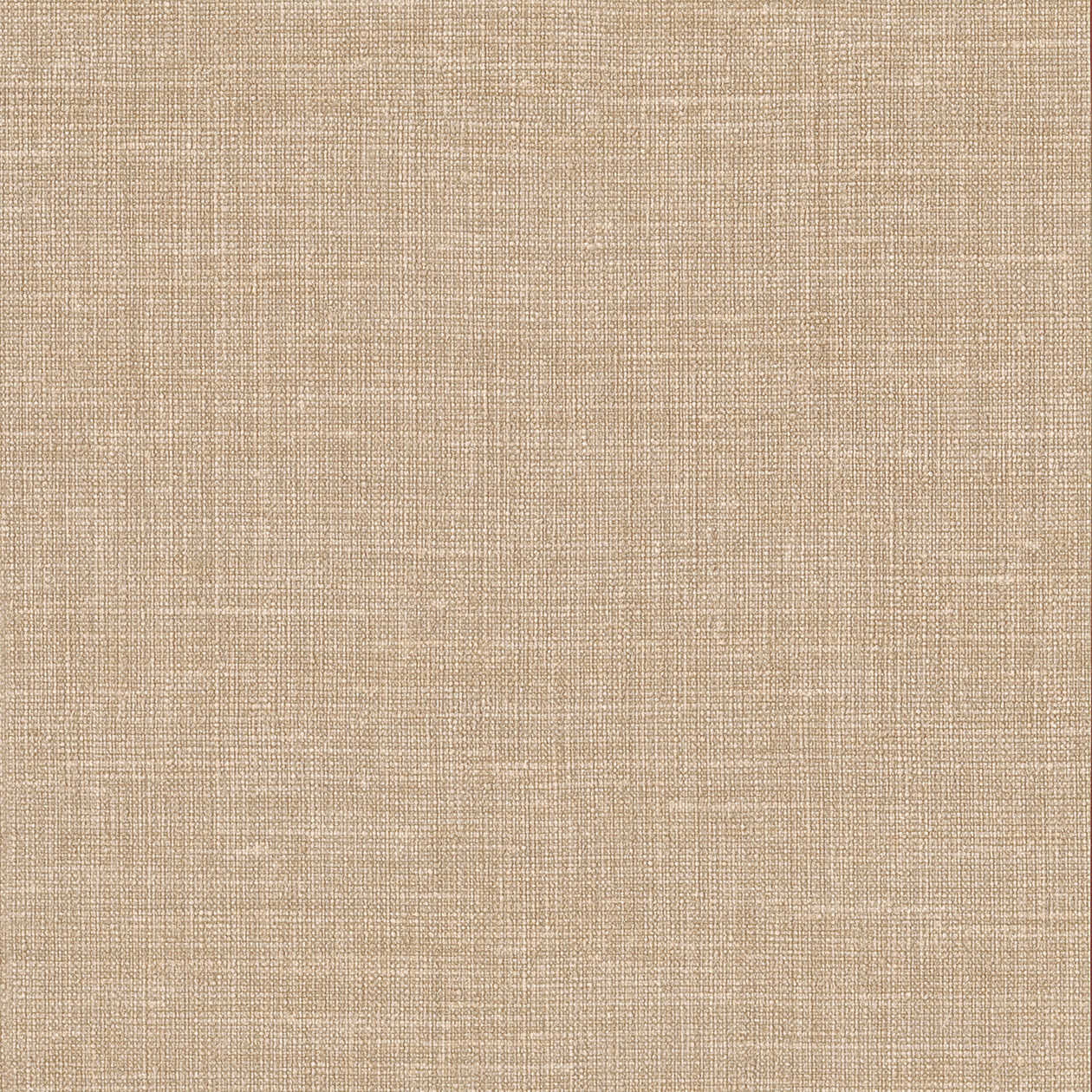 LINO beige 3