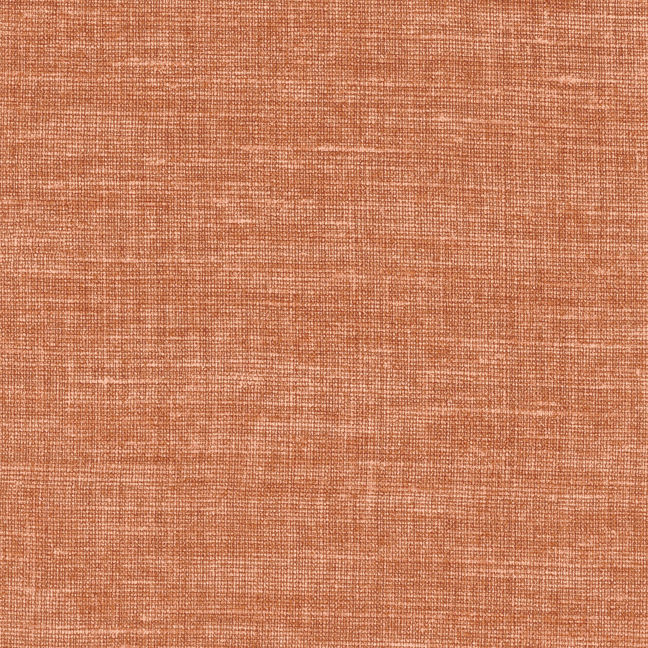 LINO orange 1