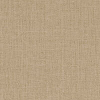 VINACOUSTIC SIANA CAMEL