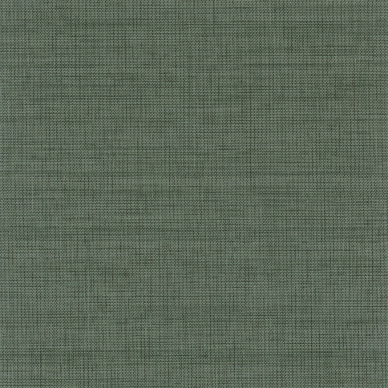 VINACOUSTIC ABACA VERT 4